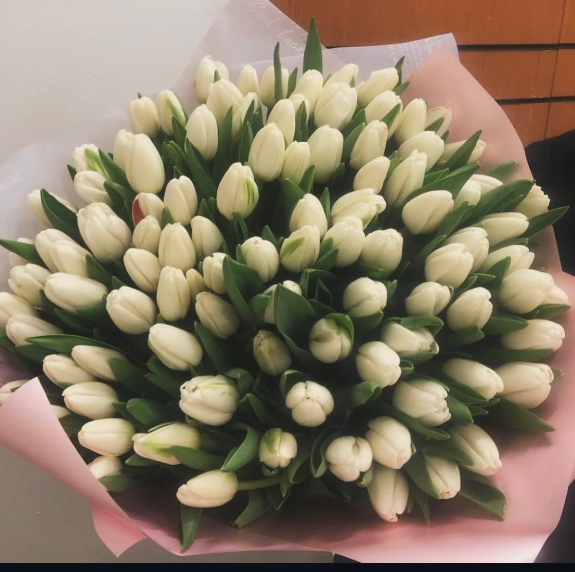 101-adet-ithal-lale--cc143