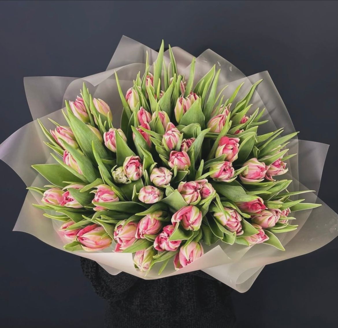 50-adet-ithal-pembe-lale--cc144